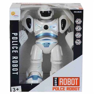Pilli Sesli Robot DMN0828